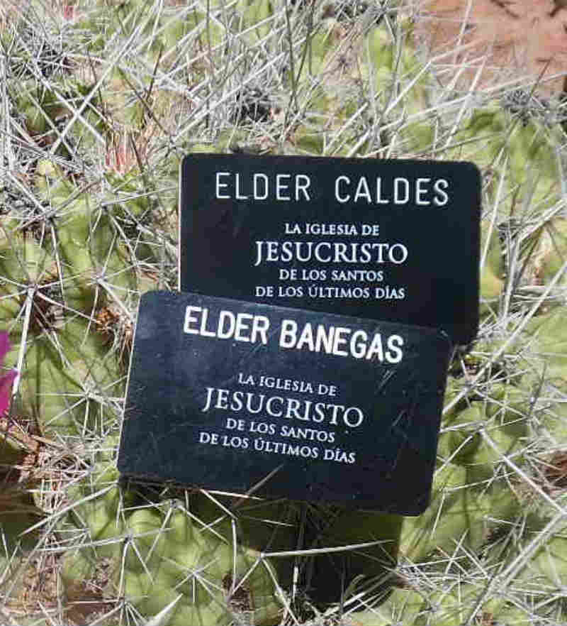 Elder Caldes' and companion's nametags. 